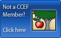 Apply for CCEF Apple Awards: Deadline is December 1st